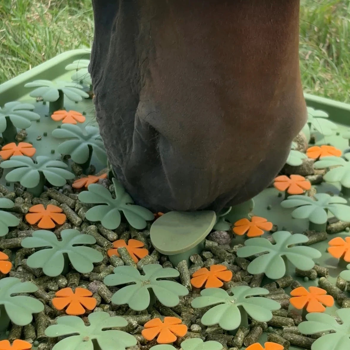 🐴🍀 Horse Clover Treat Enrichment Mat – Reusable Silicone Slow Feeder for Horses & Ponies