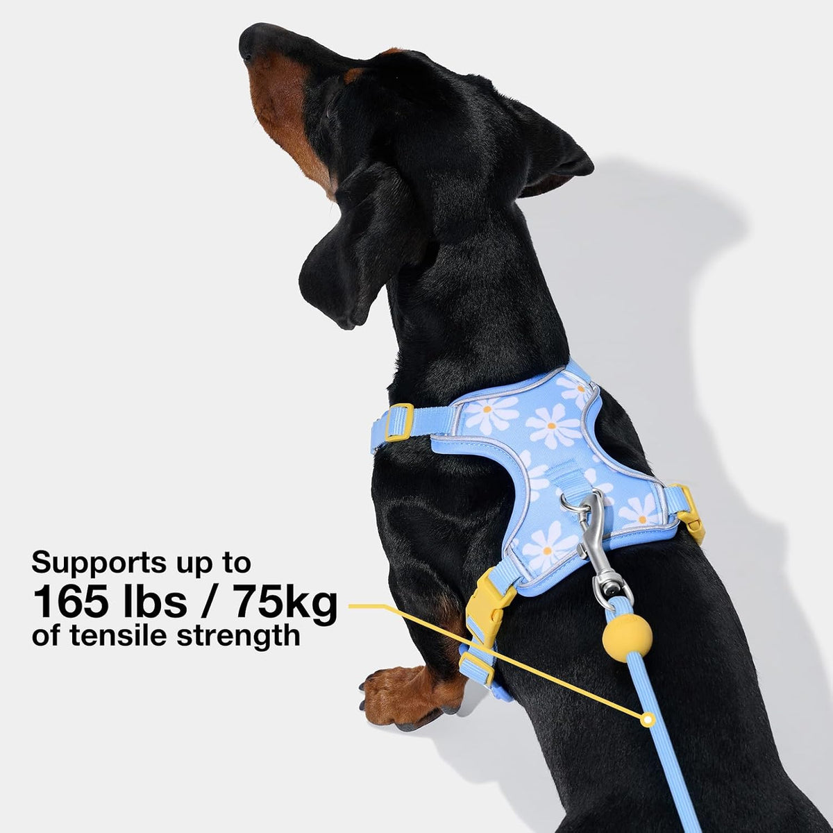 🐕 Hands-Free Dog Leash – Adjustable 3-Way Rope Leash with Waste Bag Dispenser