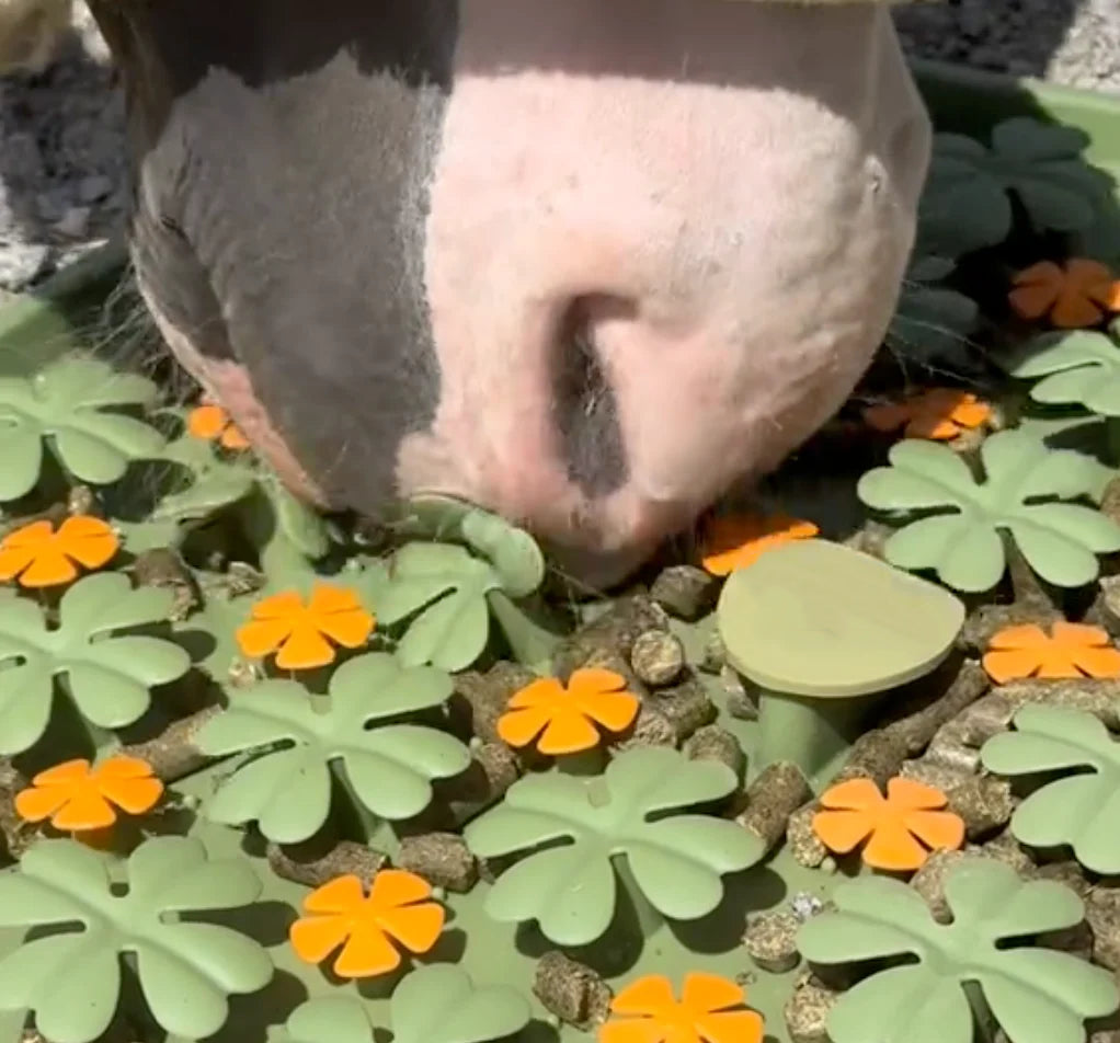 🐴🍀 Horse Clover Treat Enrichment Mat – Reusable Silicone Slow Feeder for Horses & Ponies