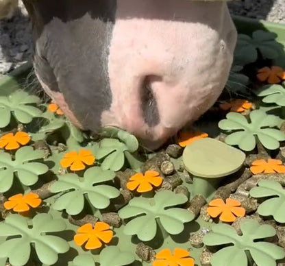 🐴🍀 Horse Clover Treat Enrichment Mat – Reusable Silicone Slow Feeder for Horses & Ponies