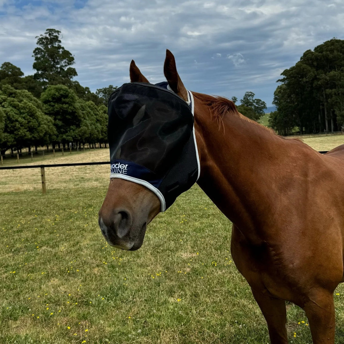 🐴Horse Fly Mask with UV Protection