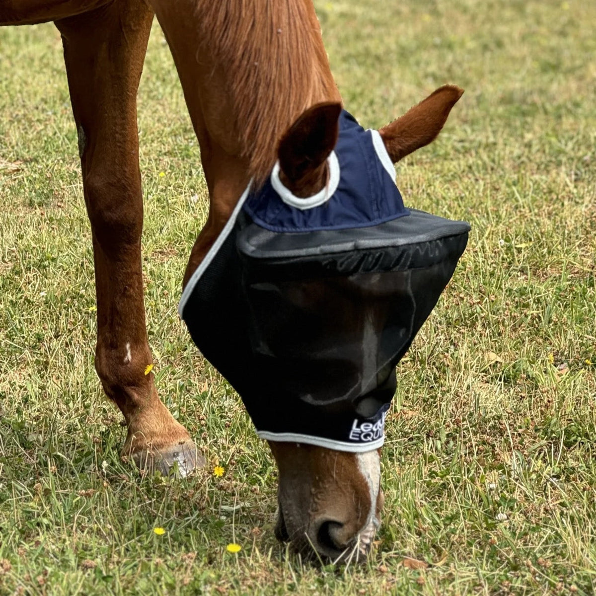 🐴Horse Fly Mask with UV Protection