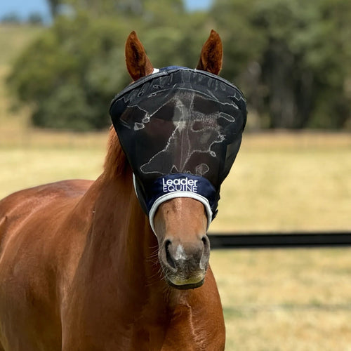🐴Horse Fly Mask with UV Protection