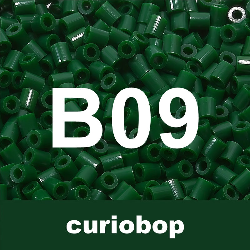 B09