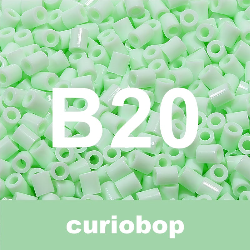 B20