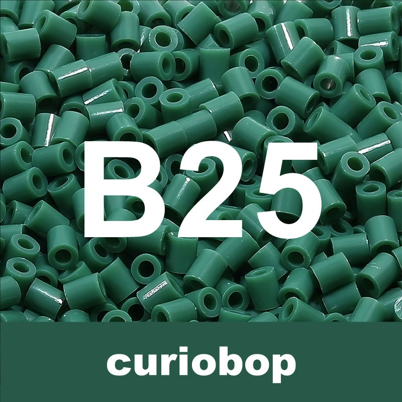 B25