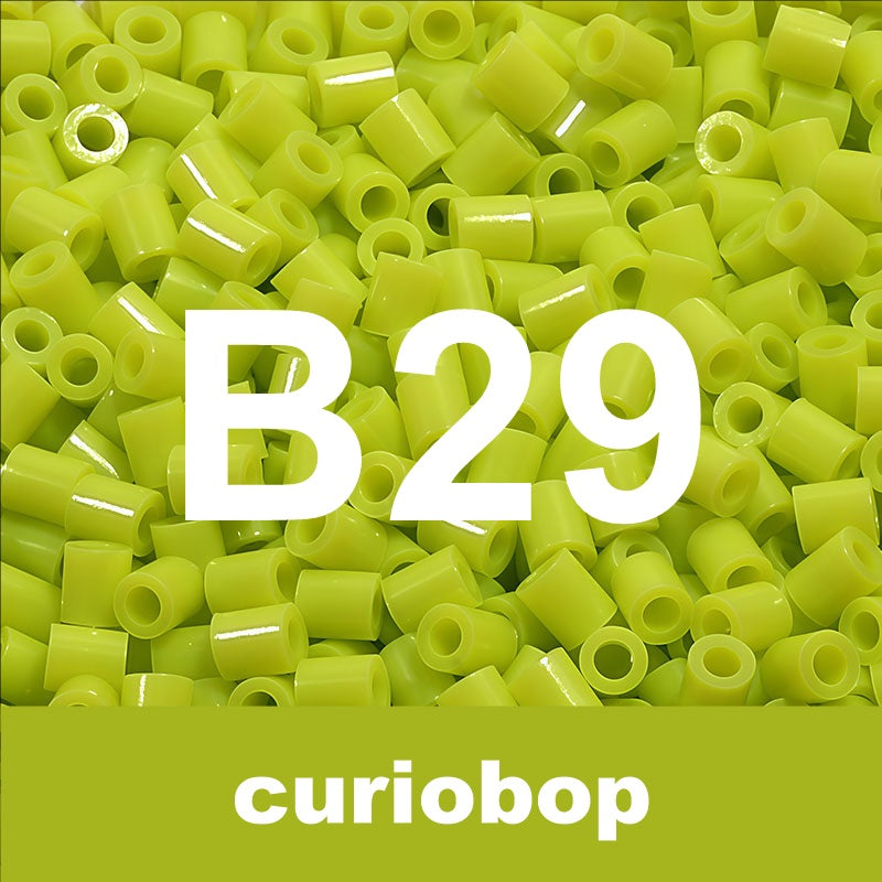 B29