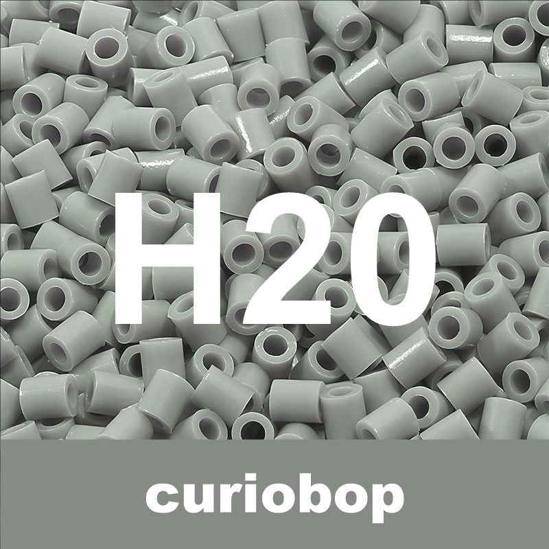 H20